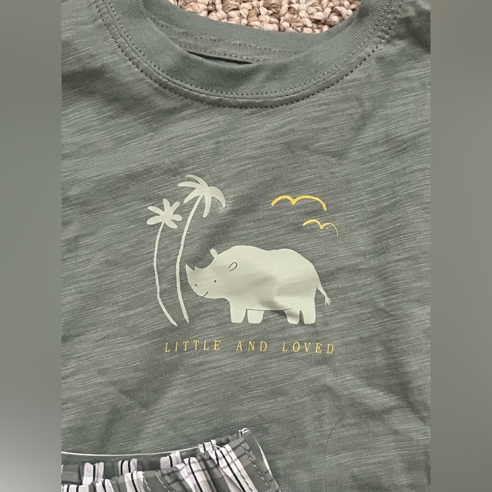 Carter’s tee and shorts set 12M nwt - Picture 3 of 6